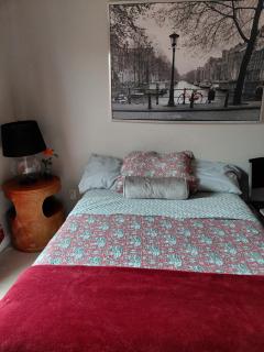 COZY BRIGHT room - Orlando - 3