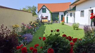 FERIENHAUS Weinviertel - 3