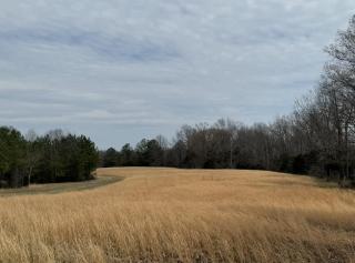 Country Retreat on 20 Acres in Dickson with Hot Tub - McEwen - 3