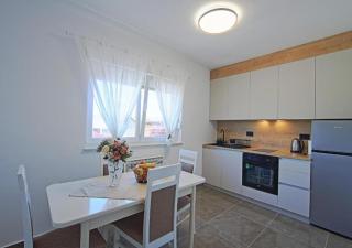 Guesthouse Viktorija Flat - Premium apartment - Otočac - 0