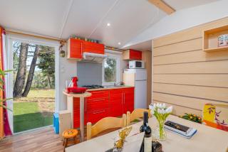 Glamping Frog Farm - Foz do Sousa - 1