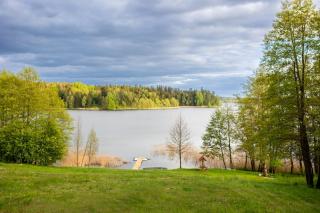 Błękit Jeziora - 8