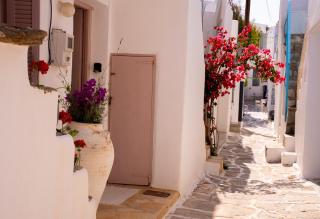 Picture perfect traditional home - Naoussa - 9
