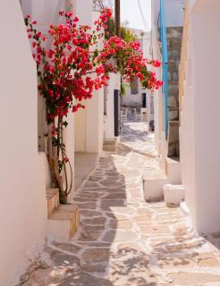Picture perfect traditional home - Naoussa - 7