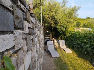 Olive ranch - Strunjan - 9