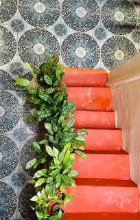 Megha Guesthouse - Hampi - 5