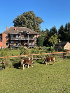 Ferienhof Süllwold - Barkhagen - 5