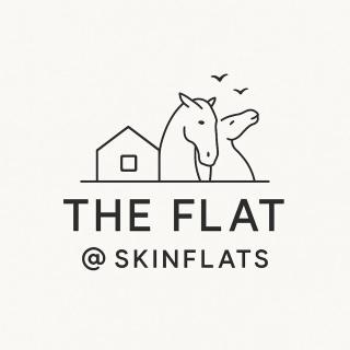 The Flat at Skinflats - Falkirk - 9