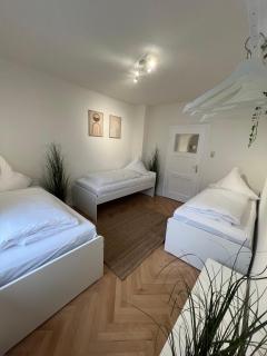 ZORO - 4 Zimmer- Küche - Balkon - Memmingerberg - 8