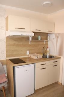 Apartman Silver Moon - Veliko Gradiste - 1