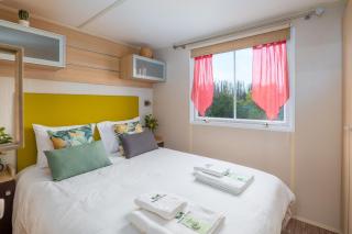 Glamping Frog Farm - Foz do Sousa - 1