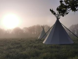 Tipis Mohair de l'Erdre - Casson - 6