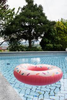Landvilla Modersnhof mit Pool - Weiz - 2