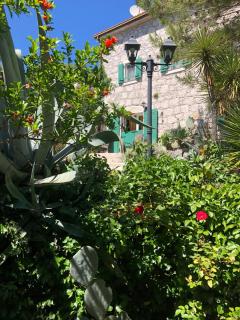 Villa Lovor - 7