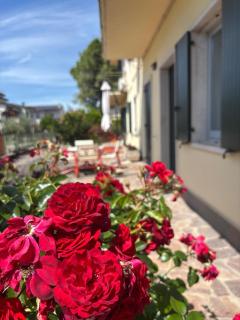 Posticino apartment - Soave - 9