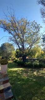 Stella's Place - Johannesburg - 5