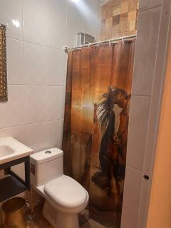 Alojamiento ideal - Torreón - 7