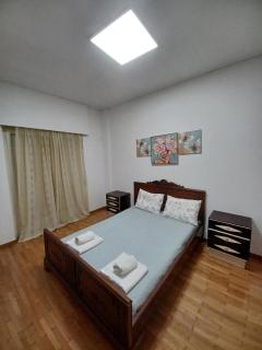Spacious Apartment 2 minutes from Omonoia Metro - Atene - 0