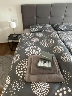 Dream Apartment VG - Free Transport From Airport - Velika Gorica - 4