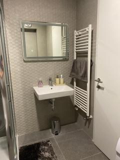 Dream Apartment VG - Free Transport From Airport - Velika Gorica - 3