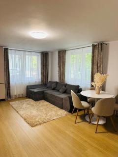 Cozy BBC Apartment - Cluj-Napoca - 1