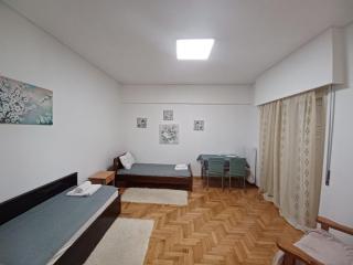 Spacious Apartment 2 minutes from Omonoia Metro - Atene - 9
