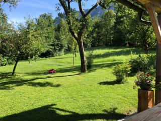 Chalet Ramsau 8 - Bad Goisern - 3