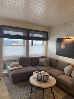 Ski in-Ski out with Mountain View at Voss - 7