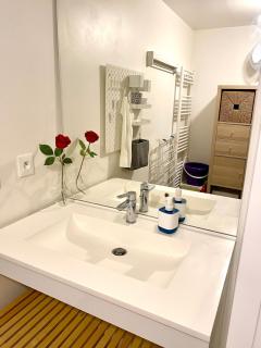 Quiet and bright Studio in Paris - 5