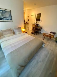 Quiet and bright Studio in Paris - 4