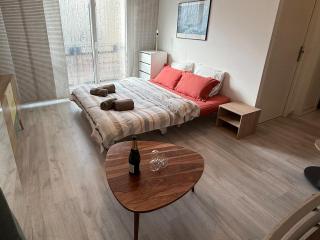 Quiet and bright Studio in Paris - 1