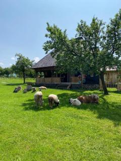 Casuța din Grădină - Breb - 5