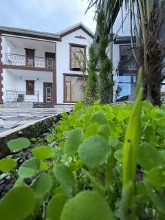 Milan Charming Villa with Indoor Heated Pool and Jacuzzi - Gabala - 5