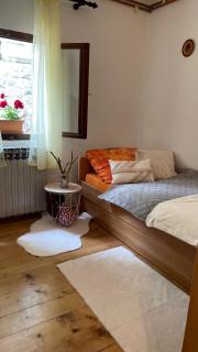 SanMari_forest - Ledenice - 9