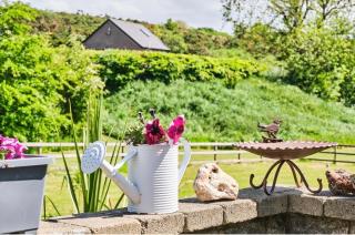 Carnbore House BnB - Bushmills - 3
