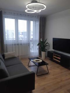 Apartament przy WROCZYŃSKIEGO 5 z miejscem garażowym - Biała Podlaska - 6