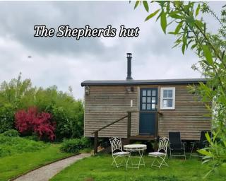 Cranfield Retreat & Glamping & Hobbit House - Long Melford - 9