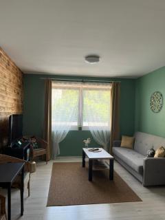 Apartmán Na Dukelské s garáží - Tábor - 5