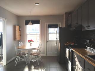 Great rental large terrace - Montreal - 0