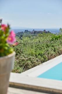 Podere Raffanna Ecologic House - Massa e Cozzile - 3