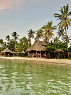 Whale Beach Bungalows and Tents - Kilindoni - 3
