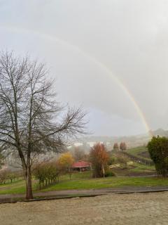Cherry Haven farm house with a view - - 9