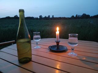 Gula Vagnen på en äng i lantlig miljö - Hörby - 8