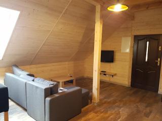 Wooden Holiday Home in Skrzynia with Terrace - Osiek - 1