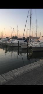 Stella marina - Aprilia Marittima - 8