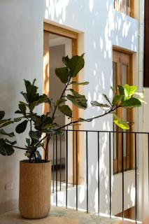 Sanchez 153 suites by Yellowkey Rentals - 5