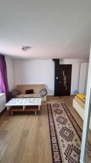 Iris studio spacious apartment - 7