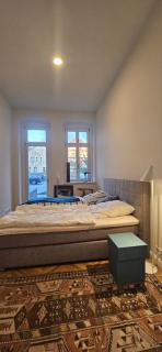 EG-Apartment mit Terrasse in Görlitzer Innenstadtlage! - Görlitz - 7