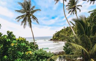 Surf Sea Breeze - Mirissa - 9