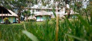 malava forest lodge - Gatunga - 9